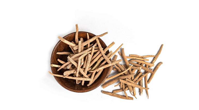 właściwości ashwagandha witania ospała