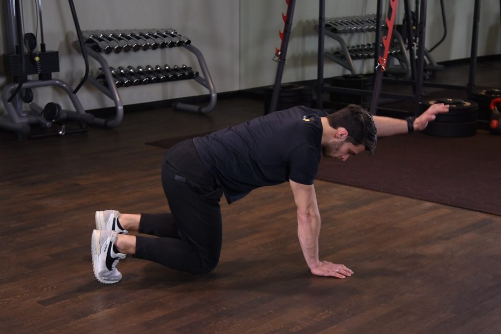 Bear plank z wyprostem ramienia