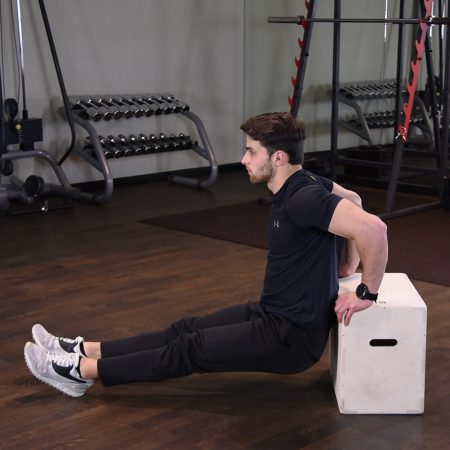 Dipsy na podwyższeniu Dipy na podwyższeniu - just be fit