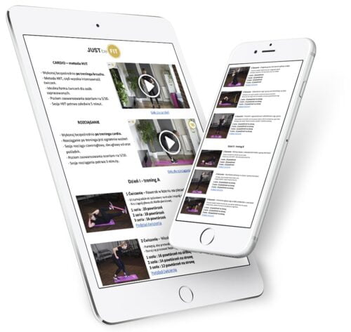 plan-treningowy3-500x473-2 Plan treningowy