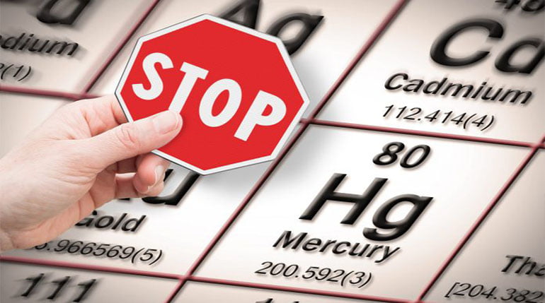 ryby w diecie metale ciężkie dietetyk online