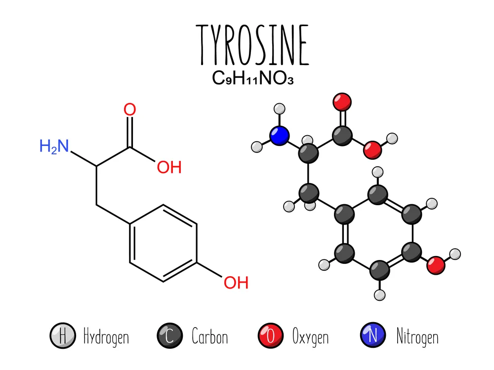 aminokwas tyrozyna