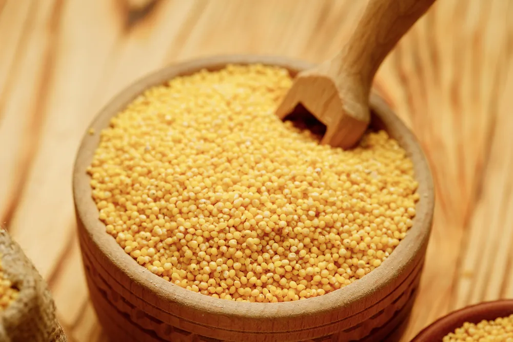 miska kaszy jaglanej