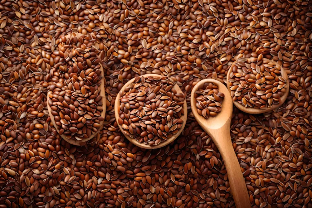 siemię lniane źródło błonnika