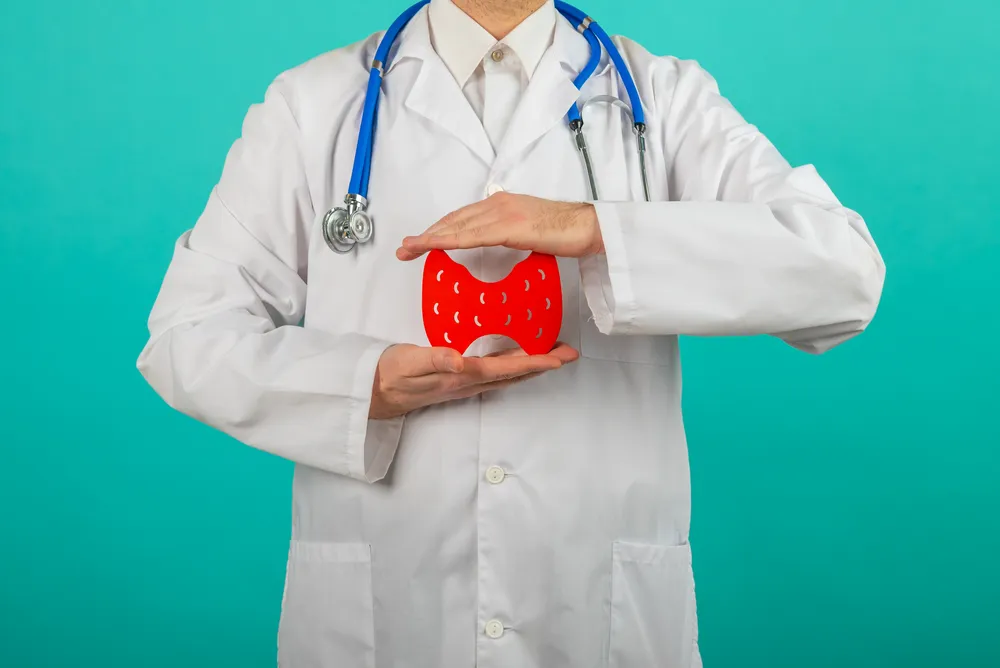 lekarz trzyma model zdrowej tarczycy