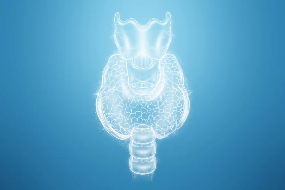 zdrowa tarczyca a choroba Hashimoto