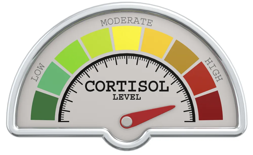 bardzo wysokie stężenie kortyzolu
